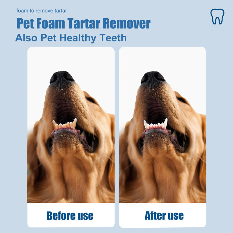 Pet Oral Care Foaming Tartar Remover